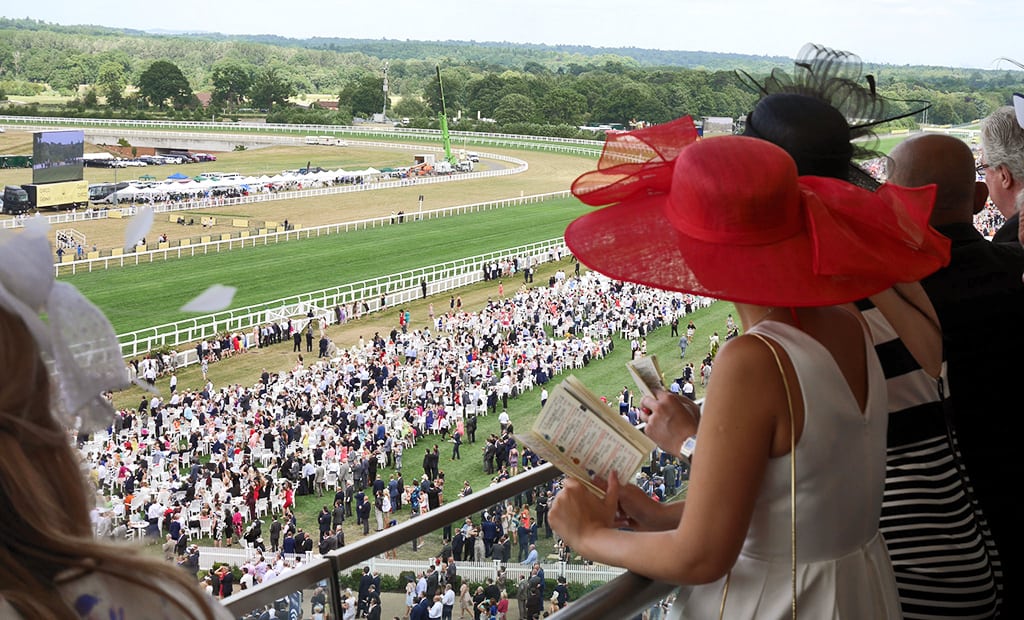 Dresses For The Races 1 Dresses for The Races