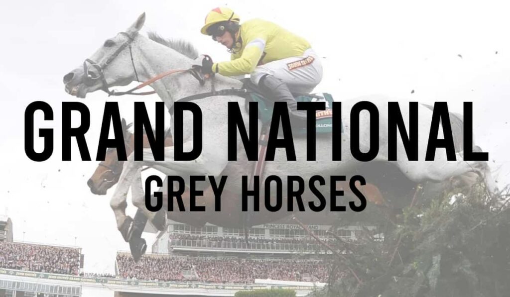 Grey Horses in the Grand National 1 Grey Horses in the Grand National