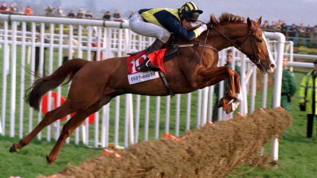 Horse Racing Hurdles Guide 1 Horse Racing Hurdles Guide