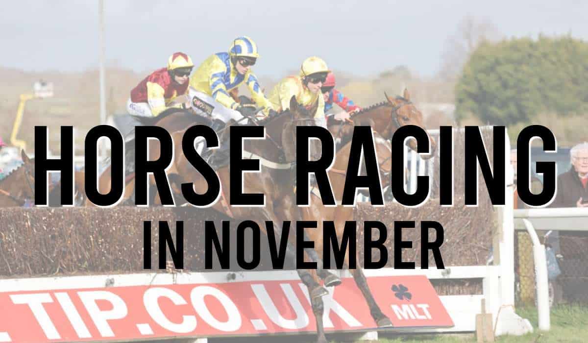 Horse Racing In November 2024