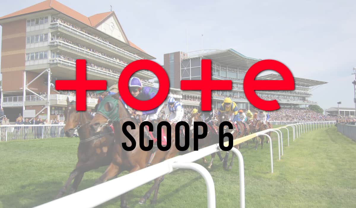 Tote Scoop 6